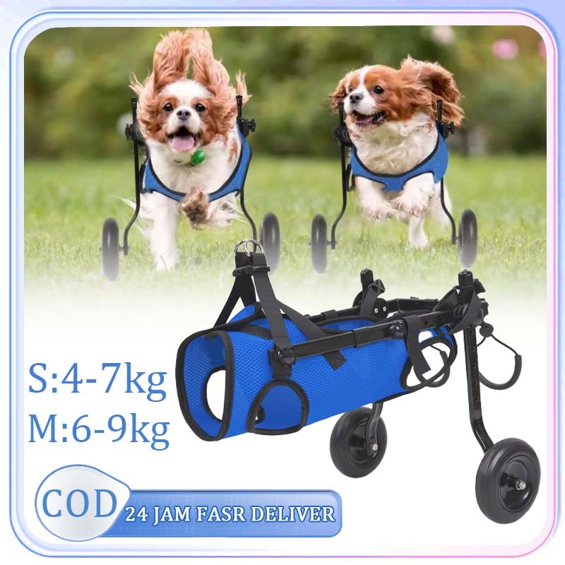 Wheelchair Kucing Kursi Roda Anjing Lumpuh Pet Wheelchair Kursi Roda Alat Bantu Jalan 2 Roda Kucing 