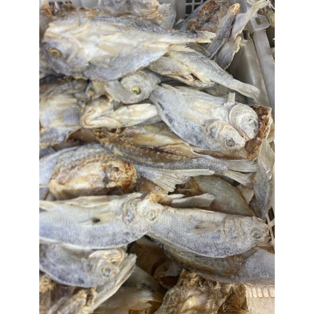 

Ikan Asin Gulama 250 Gram