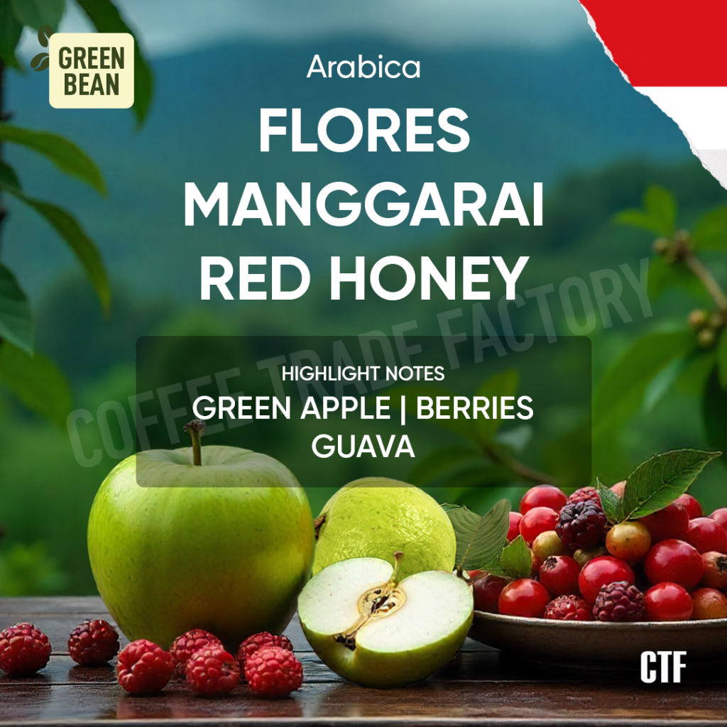 

Green Bean Arabica Flores Manggarai Red Honey premium berkualitas tinggi kompleks dan kaya aroma