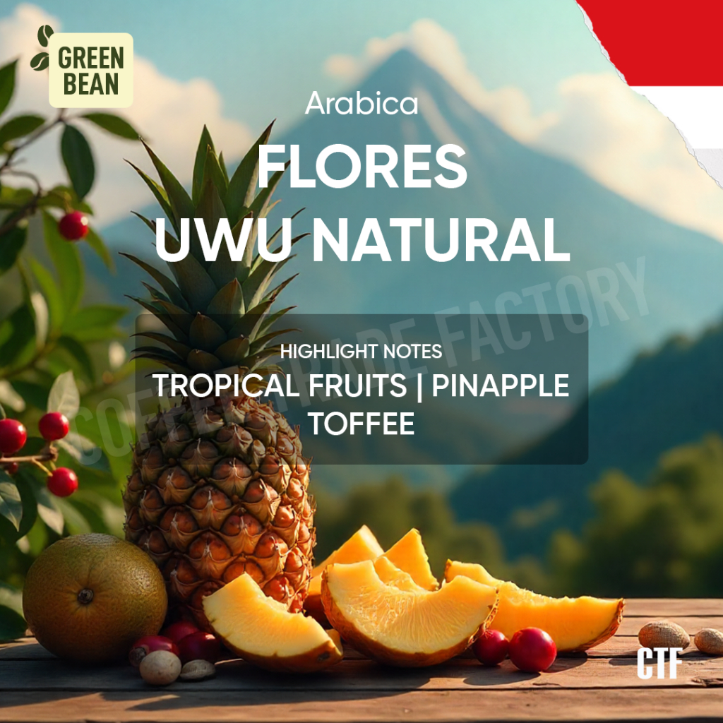 

Green Bean Flores Manggarai Uwu Natural Premium Kopi Arabika Alami dari Dataran Tinggi Manggarai
