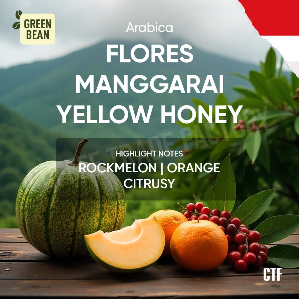 

Green Bean Arabica Flores Manggarai Yellow Honey - Murni, Alami & Berkualitas Premium