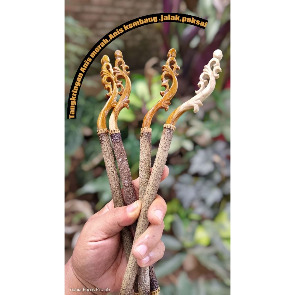 tangkringan anis merah Anis kembang jalak dan lain-lain bahan asem Bali isi 1