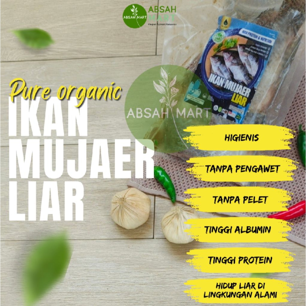 

Ikan Mujaer Liar 500gr by Pure Organic