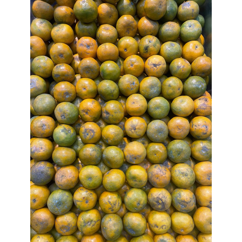 

Jeruk Siam Madu Super Manis |Segar, Lembut & Asam 1kg