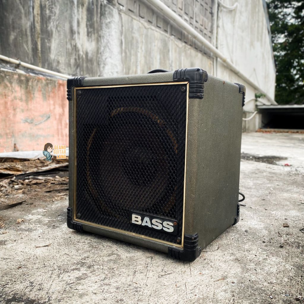 Roland Super Cube 40 Bass Combo Amplifier SCB40