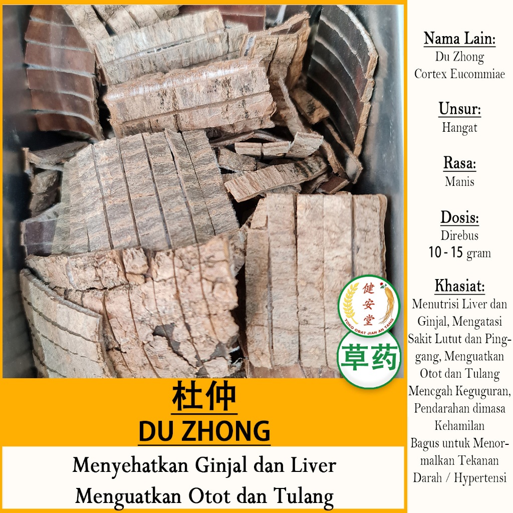 

DU ZHONG - EUCOMMIA BARK - Eucommiae Cortex HERBAL TCM Per 100 Gram