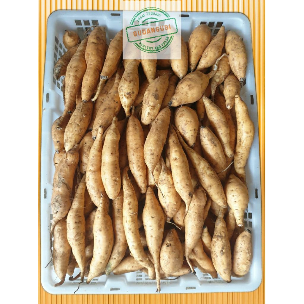 

Ubi Cilembu Kecil (ucil) *beli 2 diskon