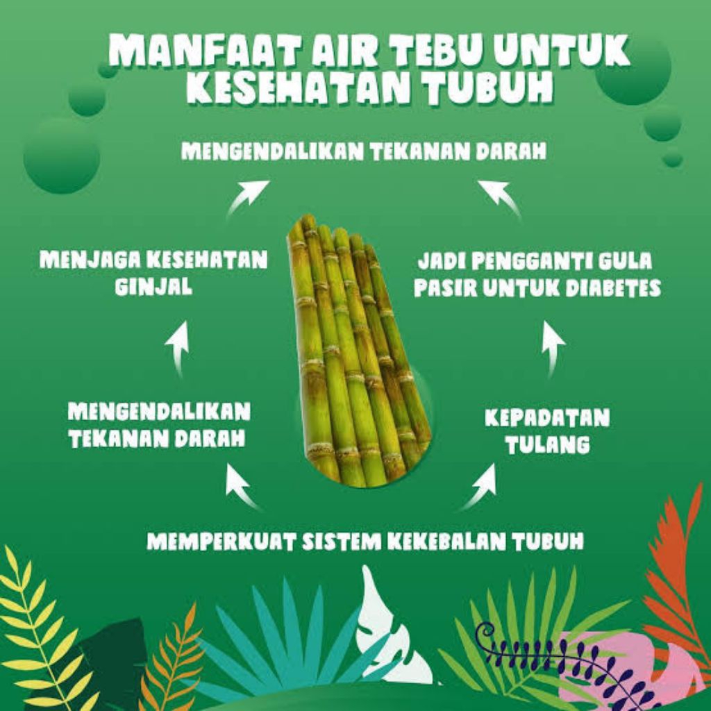 

tebu kuning fresh 100% original per 1 kg