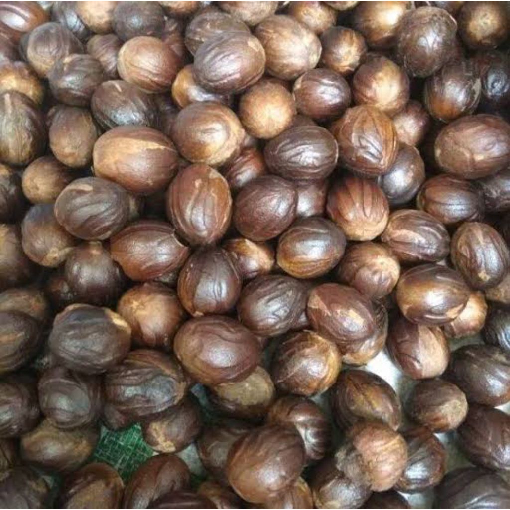 

Biji Pala Utuh 100 gr (Rempah Kering)