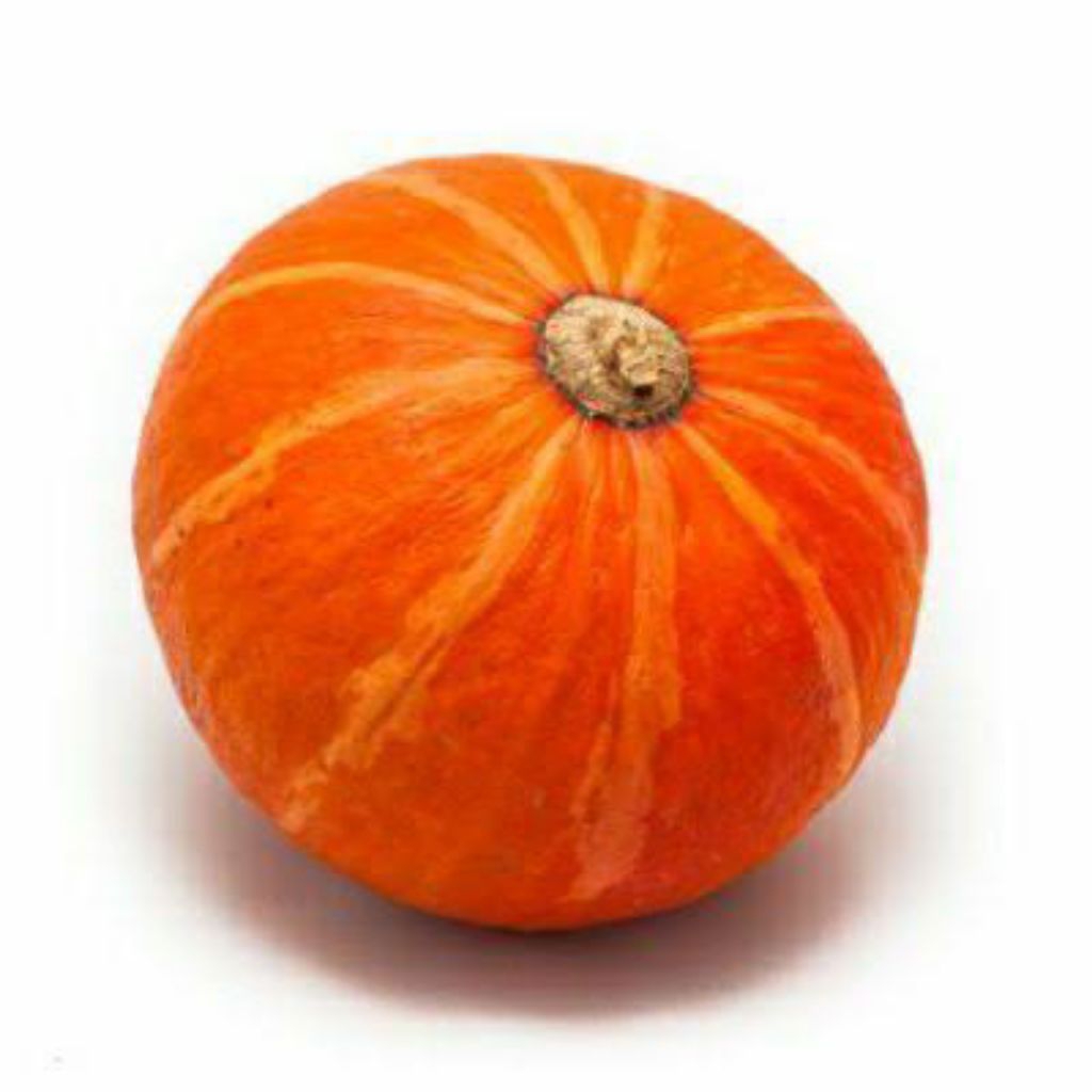 

Labu Jepang / Kabocha Orange /Labu Kuning