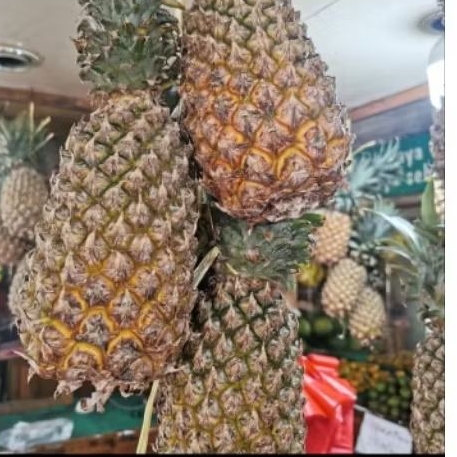 

Nanas palembang 1 buah