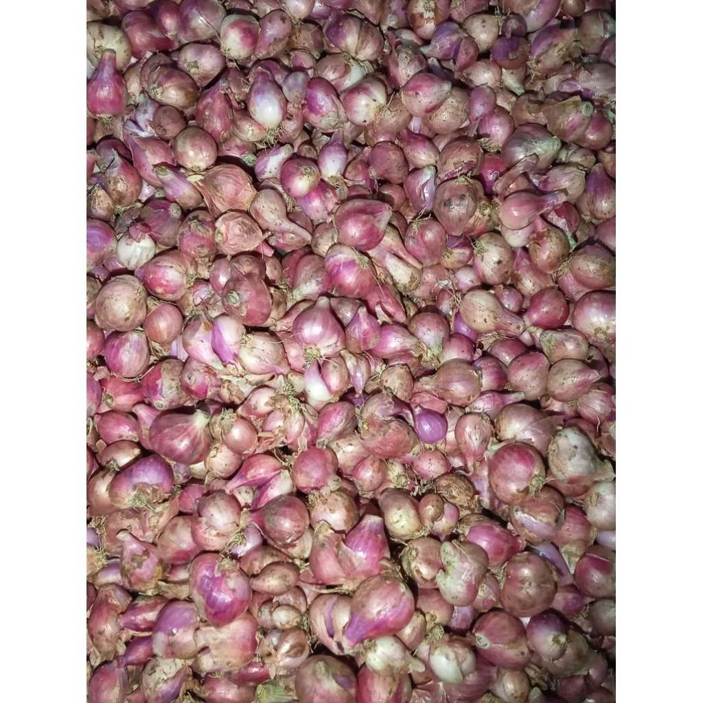 

Bawang Merah Kecil 500gr