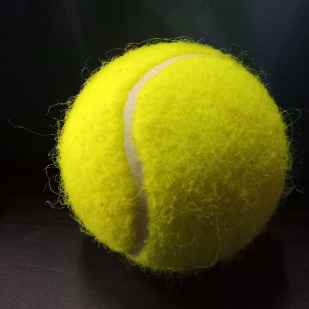 BOLA TENIS LAPANGAN/BOLA KASTI