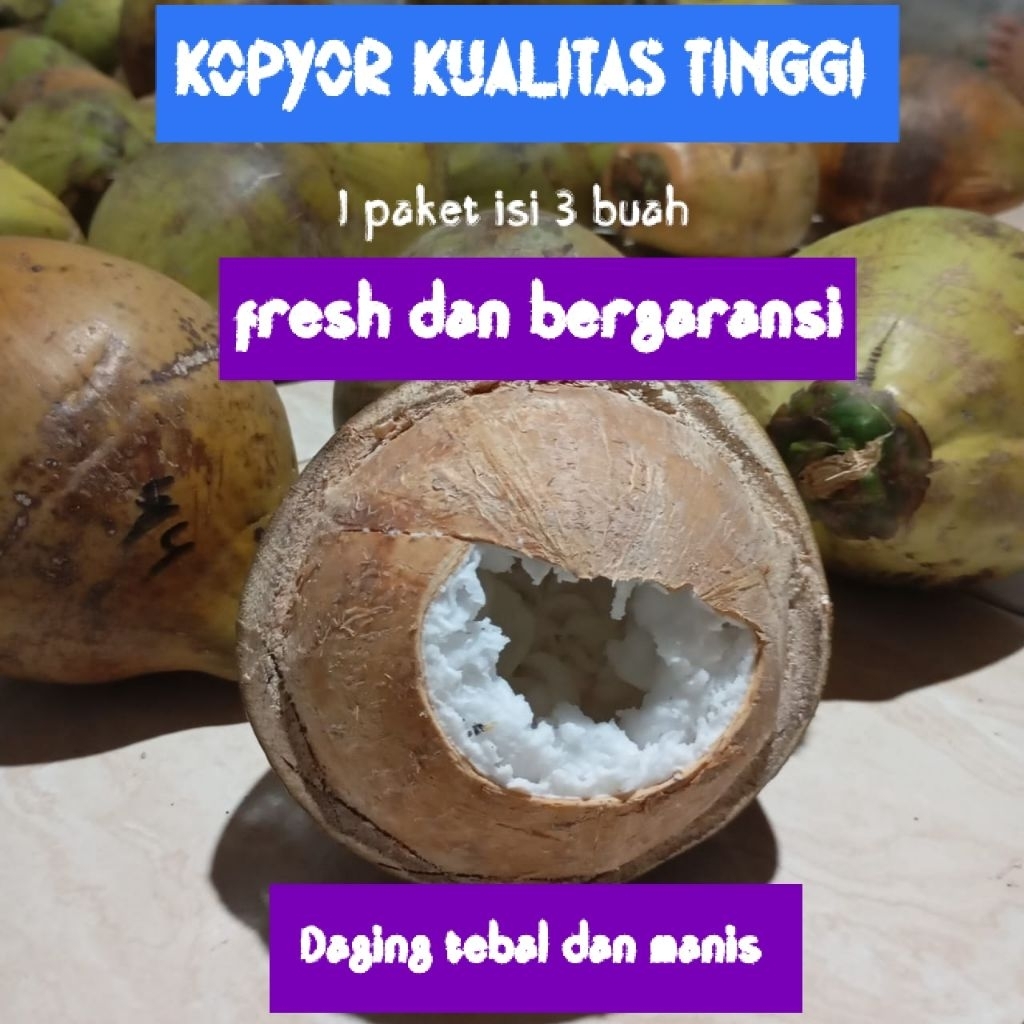 

kopyor fresh dan berkualitas 1 paket isi 3 buah dijamin asli dan bergaransi