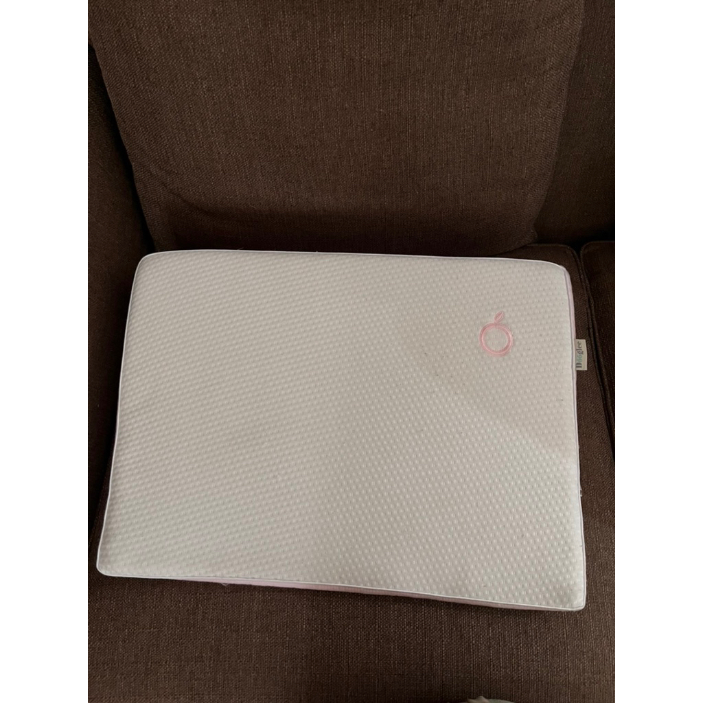 Dooglee - Wedge Pillow PRELOVED