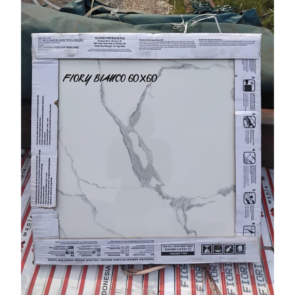 GRANITE LANTAI 60x60 FIORY BIANCO