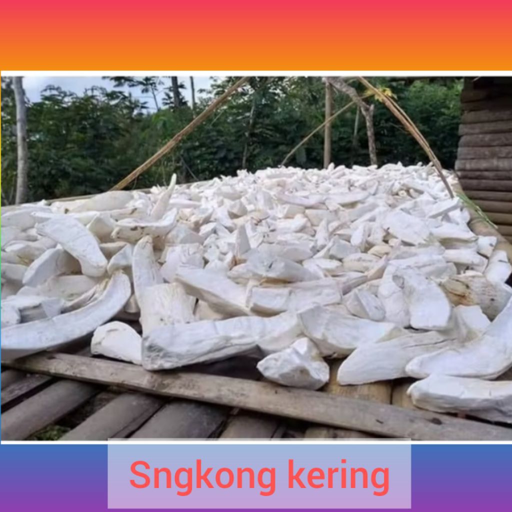 

ubi gaplek singkong kering / ubi karak singkong kering 1 kg