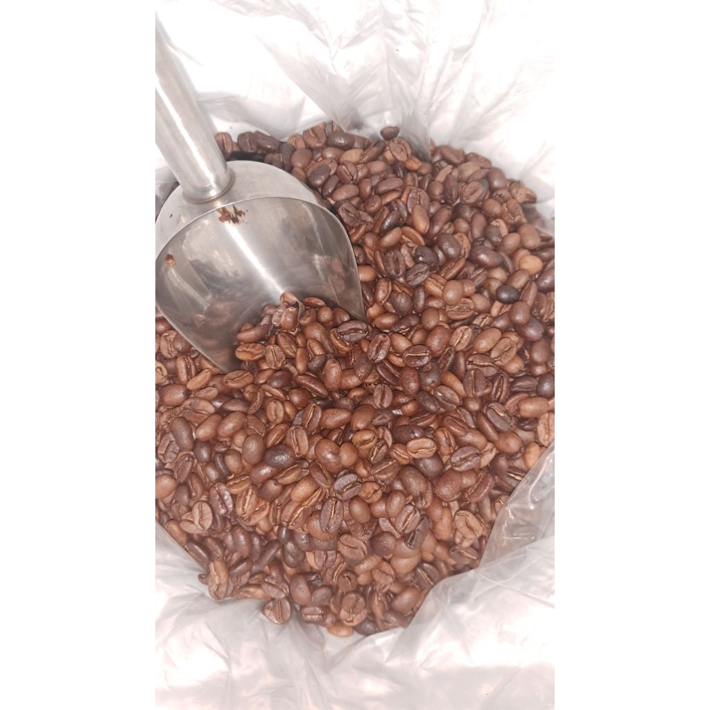 

kopi arabica wine single origin lereng gunung sumbing