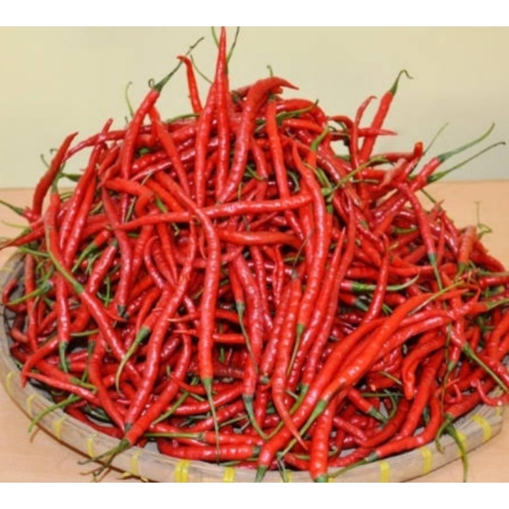 

cabe kriting/cabai keriting 250g