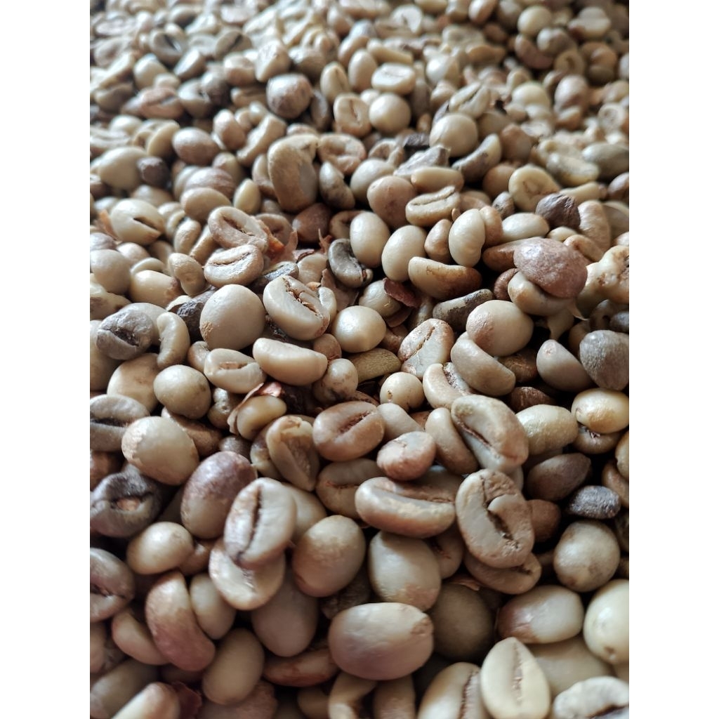 

Biji Kopi Robusta Asli