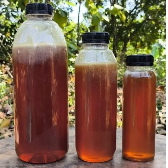 

Madu hutan liar 500 gram Madu liar hutan Madu liar Sumbawa madu liar hitam madu liar murni madu asli Jember madu liar hutan Riau madu madu liar cangar madu tawon liar asli madu madu liar hutan 150 gram madu liar 1000mlMadu cerana madu cerana 200