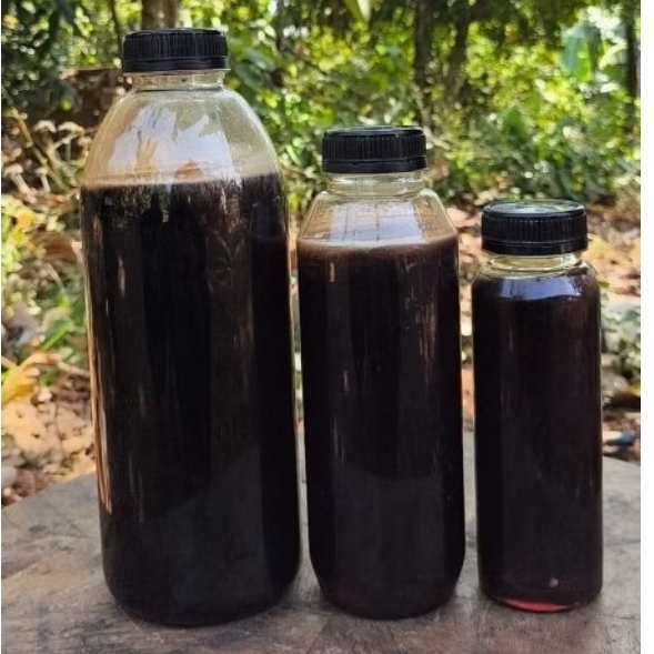

madu hutan akasia 500 g carsicarpa madu carva Jambi Riau madu asli murni hutan liar madu hitam