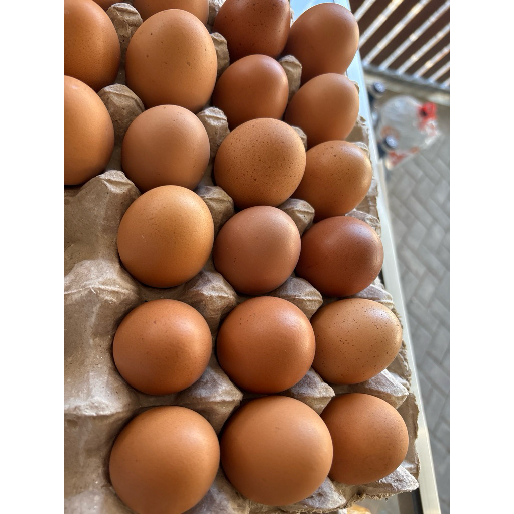 

(KHUSUS INSTANT) Telur Ayam Negeri / Telur Ayam Horen Premium / Telur Ayam 1