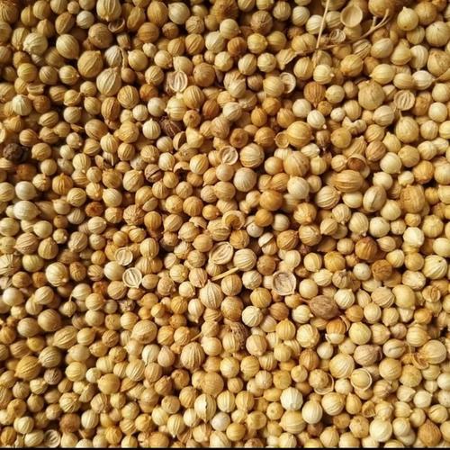 

KETUMBAR BUTIR 1 KG, 500 GR, 250 GR