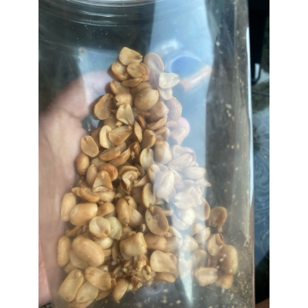 

kacang bawang kemasan toples