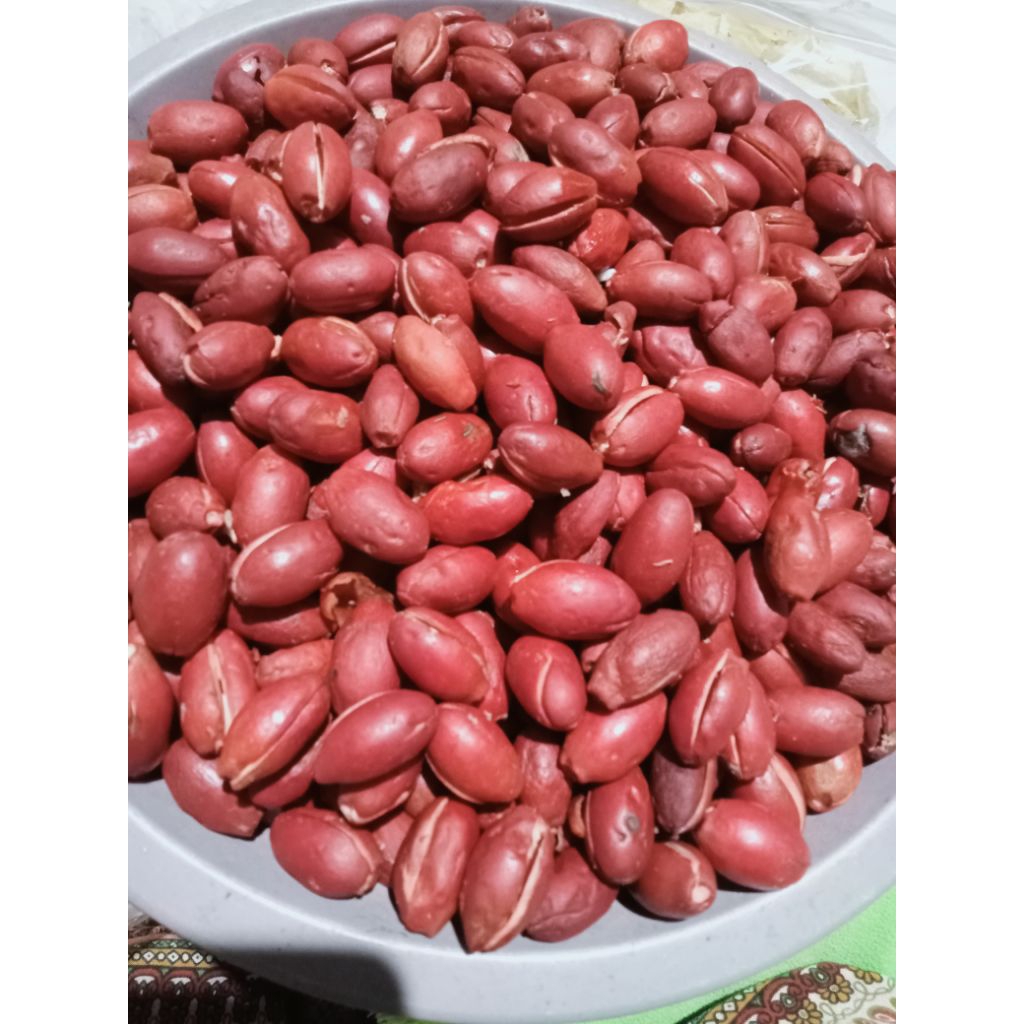 

kulit melinjo/emping mentah 1 kg original asli tanpa pengawet