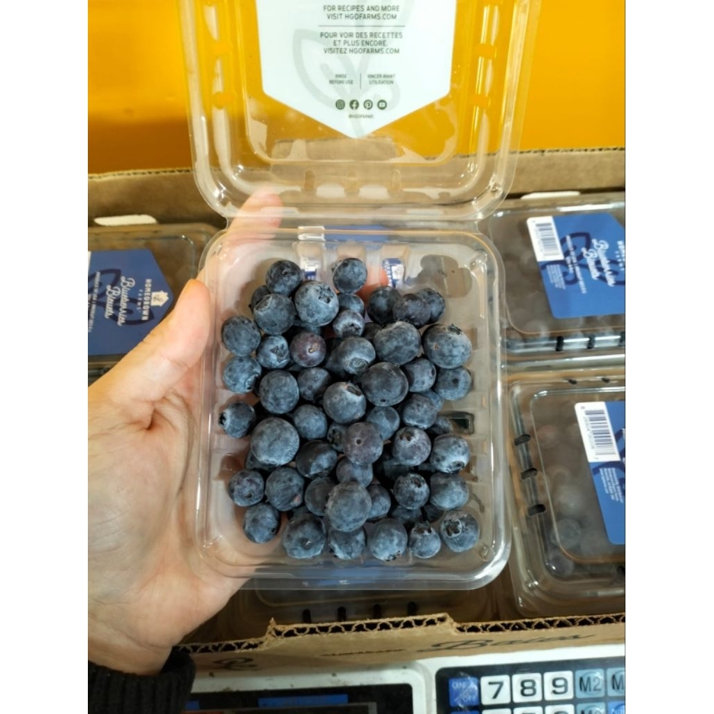 

buah blueberry impor fresh per pack berat 125 gram