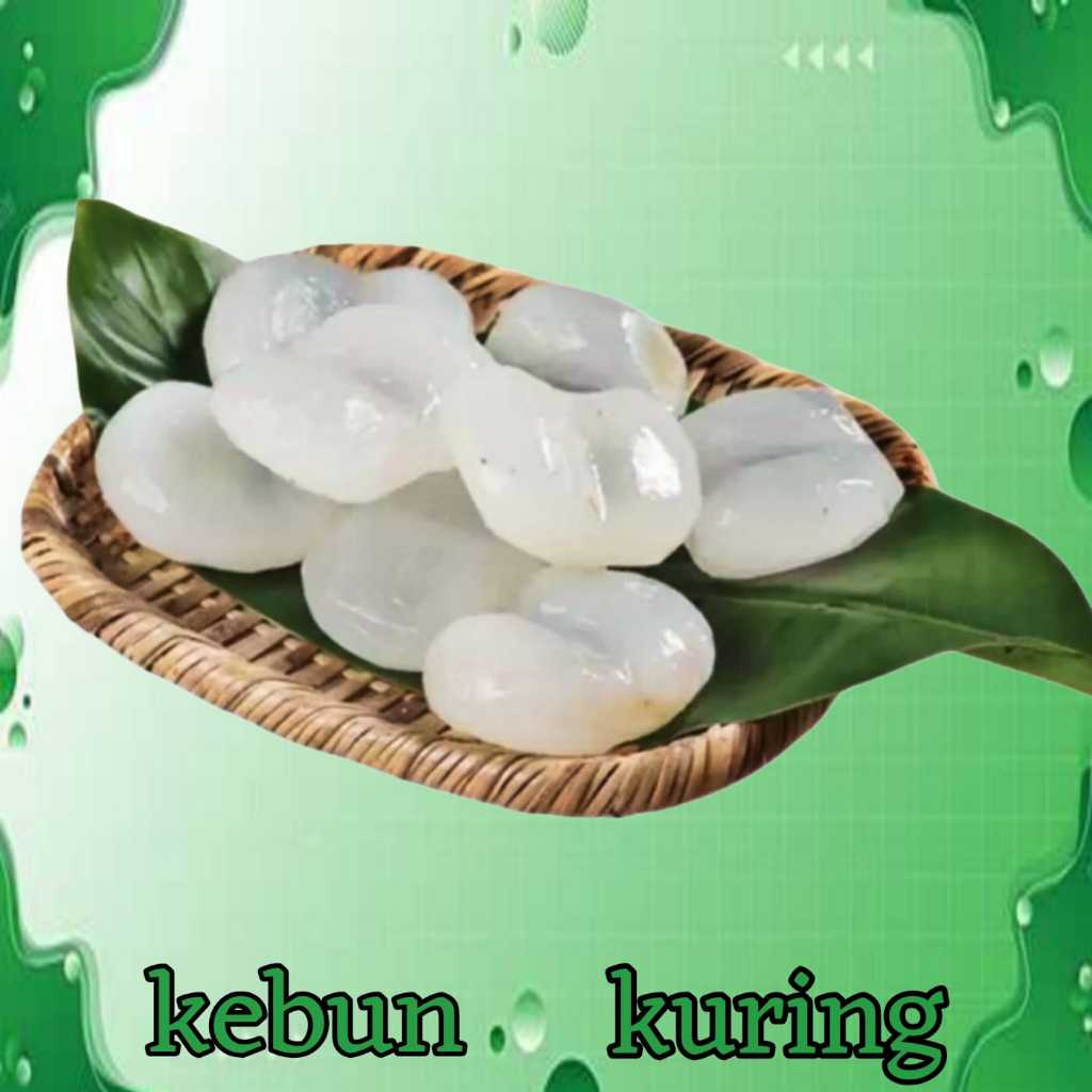 

kolang kaling segar 1 kg - caruluk manisan kenyal