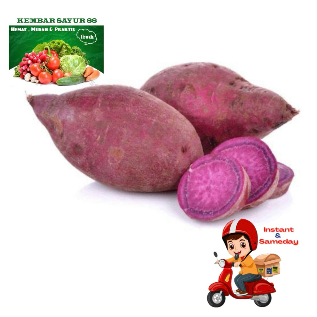 

Ubi Ungu - Kembarsayur88