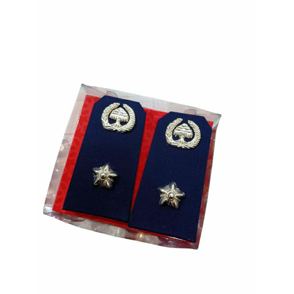 PANGKAT PDU LURAH BIASA/PANGKAT PDU KADES BIASA/ EVOLET PDU KADES BIASA/ EVOLET PDU LURAH BIASA/ PAN