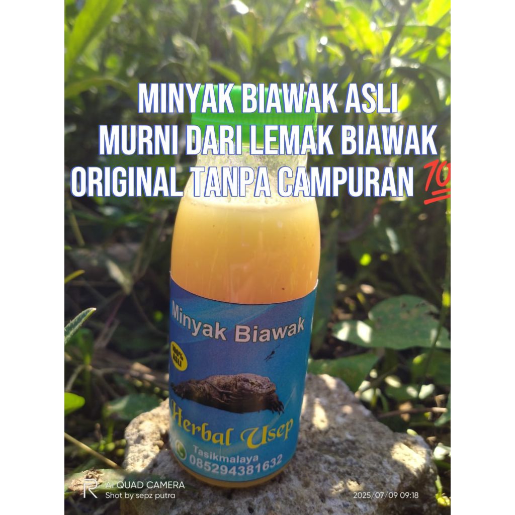 minyak biawak original  tanpa campuran sedikitpun