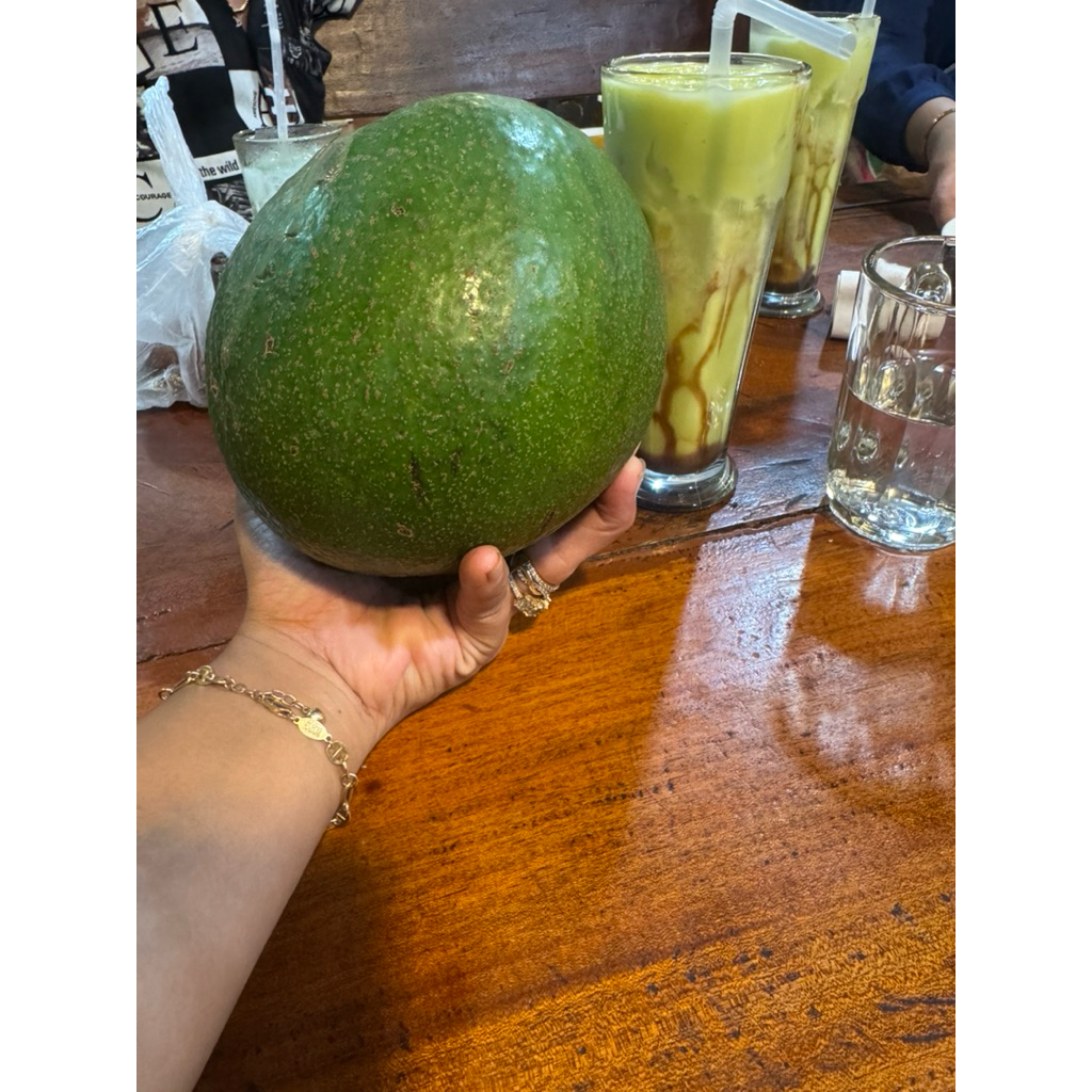 

Alpukat montong mentega daging tebal legit dan lemak