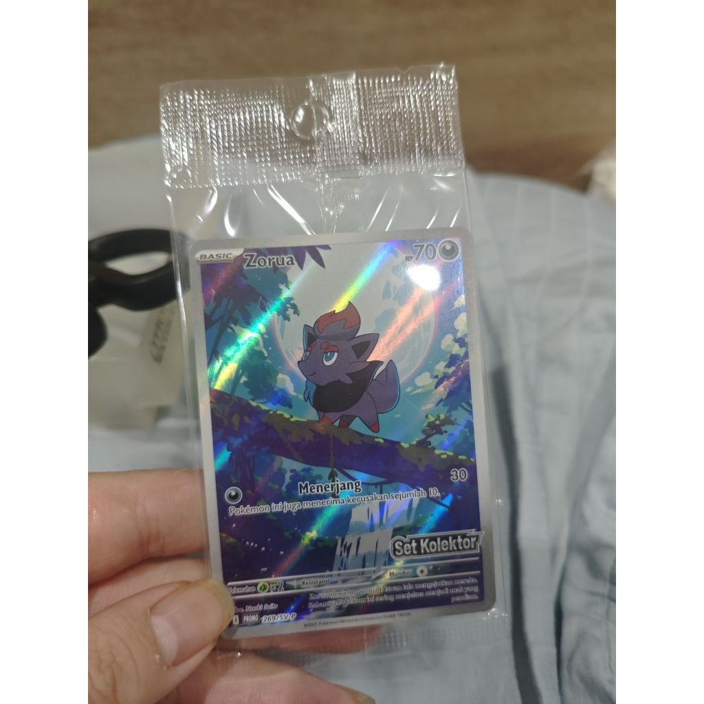 zorua promo set kolektor tcg pokemon indo