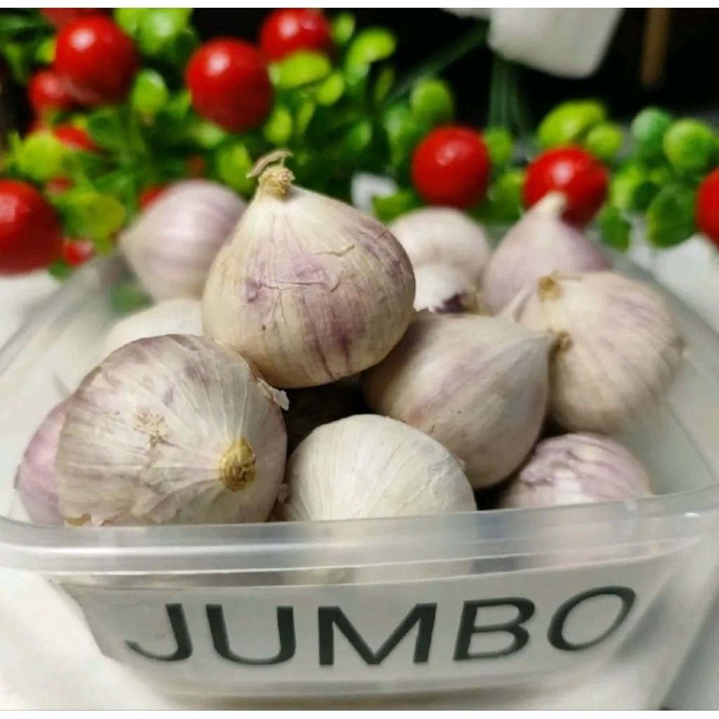 

Bawang putih tunggal size jumbo 1kg
