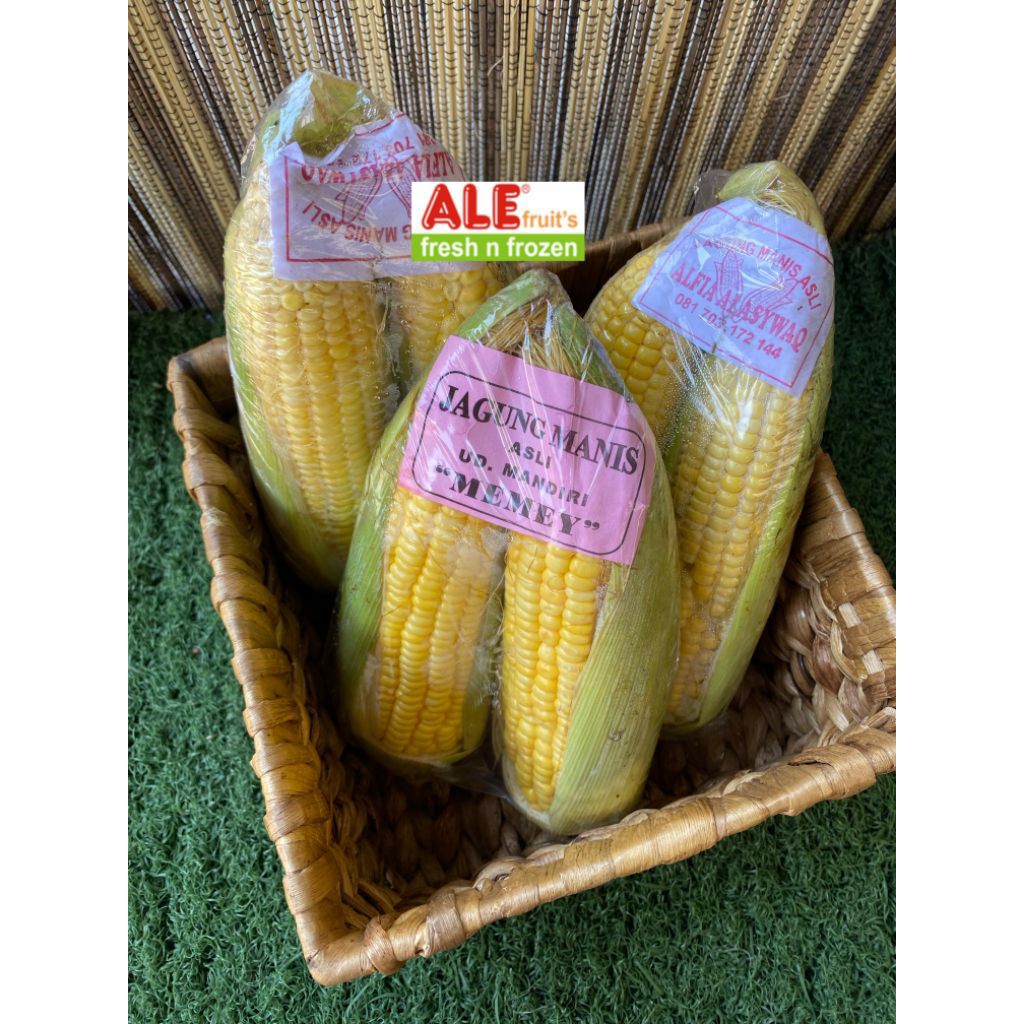 

Jagung manis fresh isi 2/plastik, jagung manis, jagung manis segar