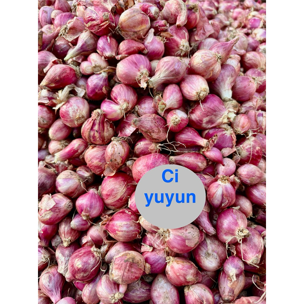 

Bawang merah asli,Bawang merah brebes,Bawang merah jawa,Bwg merah