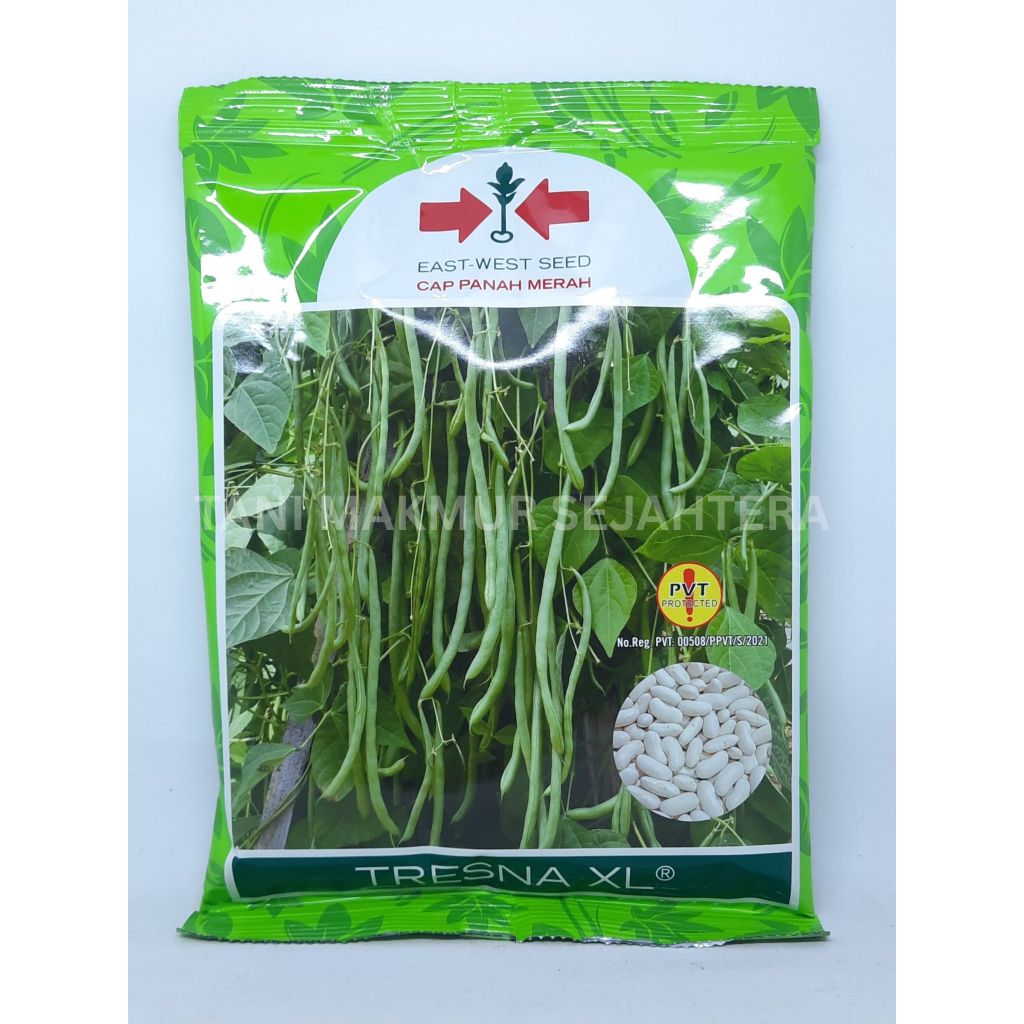 TRESNA XL BENIH BUNCIS 500GR CAP PANAH MERAH