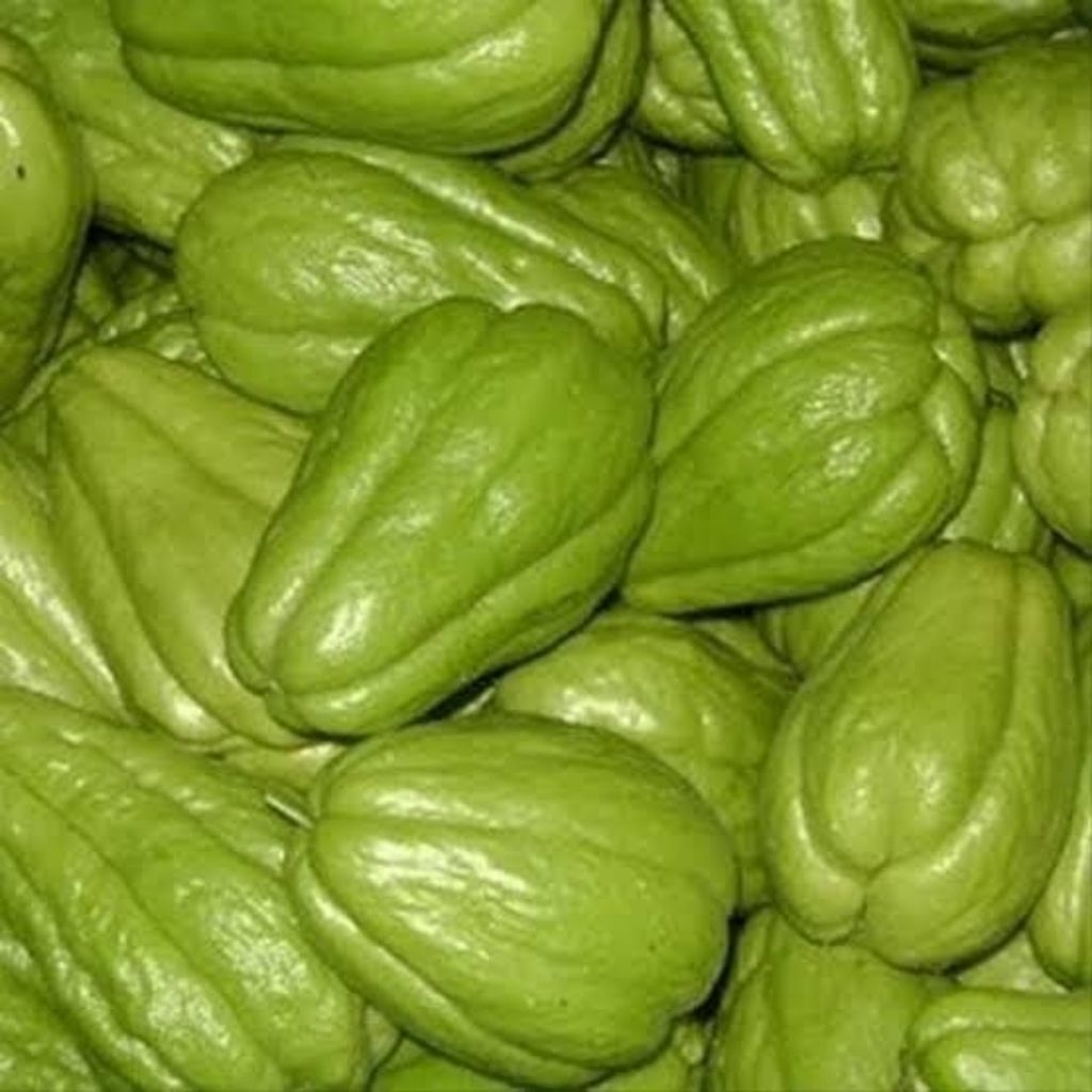 

LABU SIAM MANISA FRESH