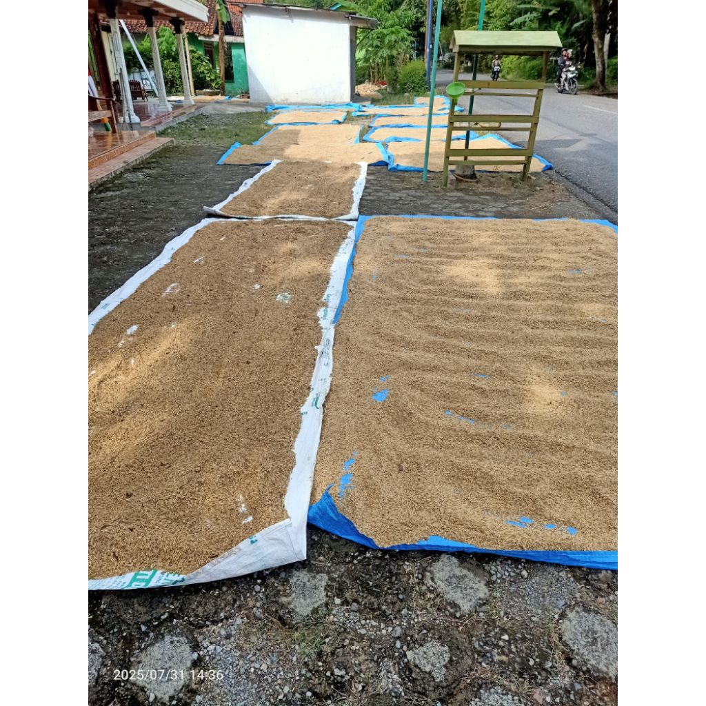 Sunbloom Terpal Jemur Padi Tebal/Tenda Terpal Jualan/Terpal 4X2,4 Meter