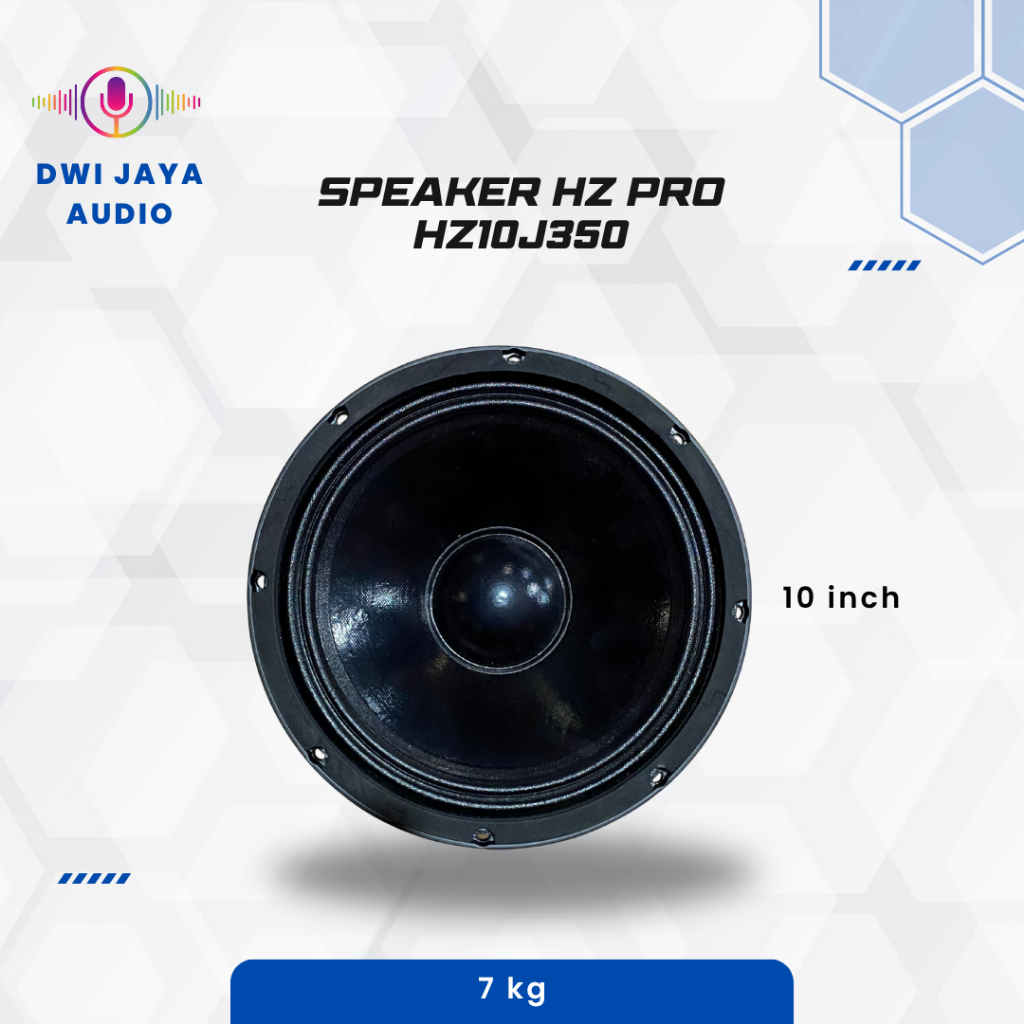 Speaker HZ Pro Type HZ10J350 | Spiker 10 inch