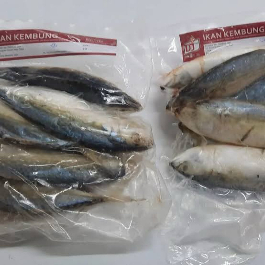 

PROMO IKAN KEMBUNG FROZEN ± 1 KG
