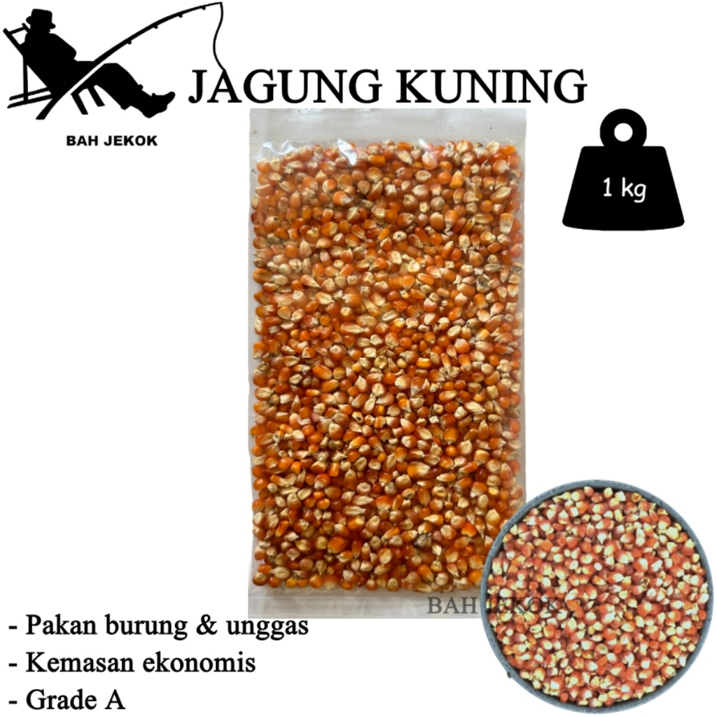 Jagung untuk pakan ayam Bangkok Petelur Pedaging Kampung Aduan Broiler dan unggas (250gr - 1kg).