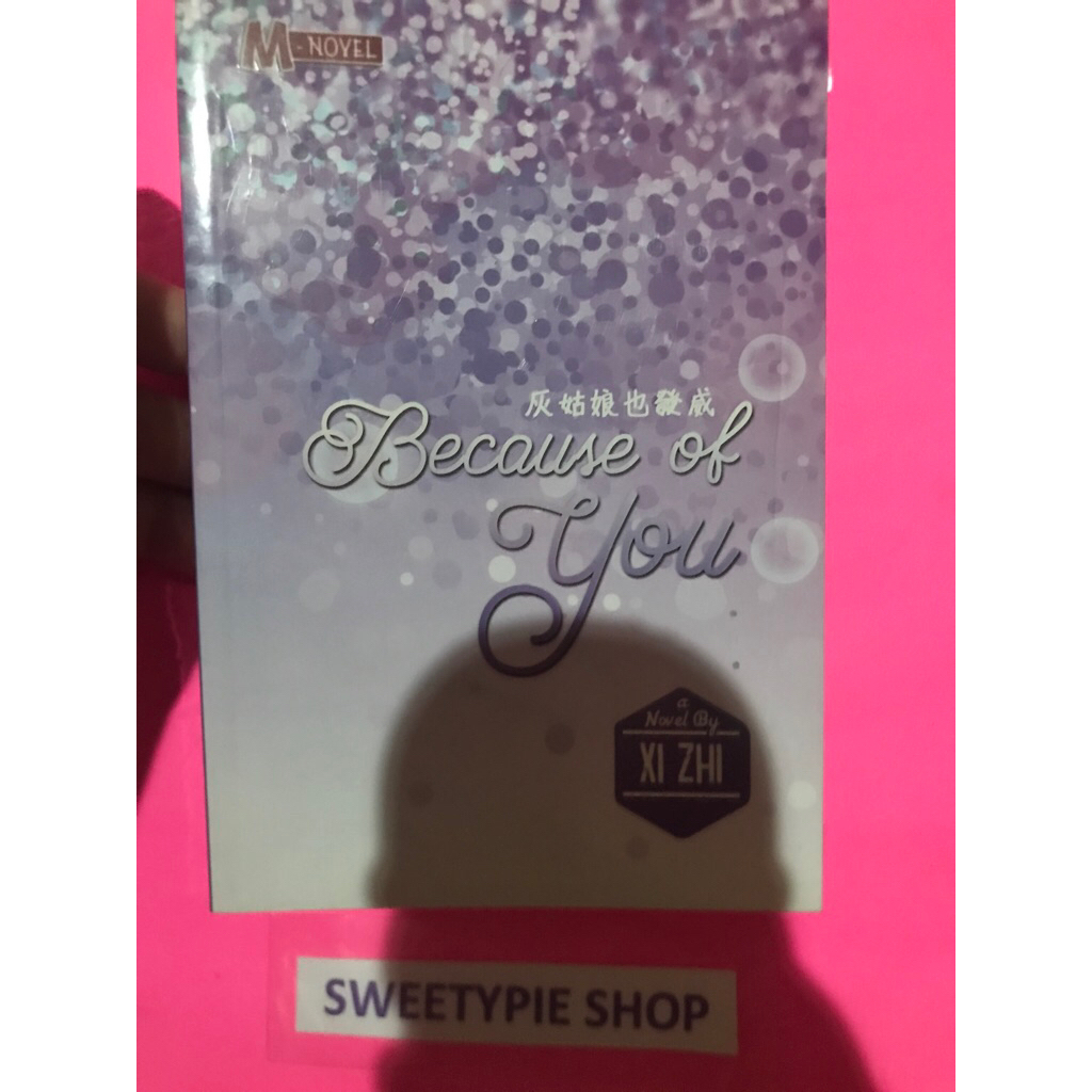 [Original] Novel Terjemahan Mandarin : Because of You - Xi Zhi (Preloved/Bekas)