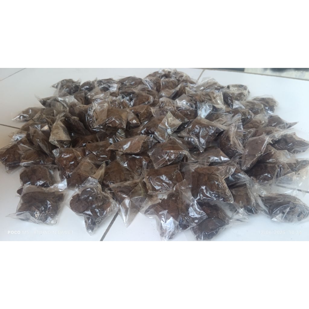 

✓ Grosir 50 Pcs - Pinang/Ubub/Jebug Matang Basah Asli
