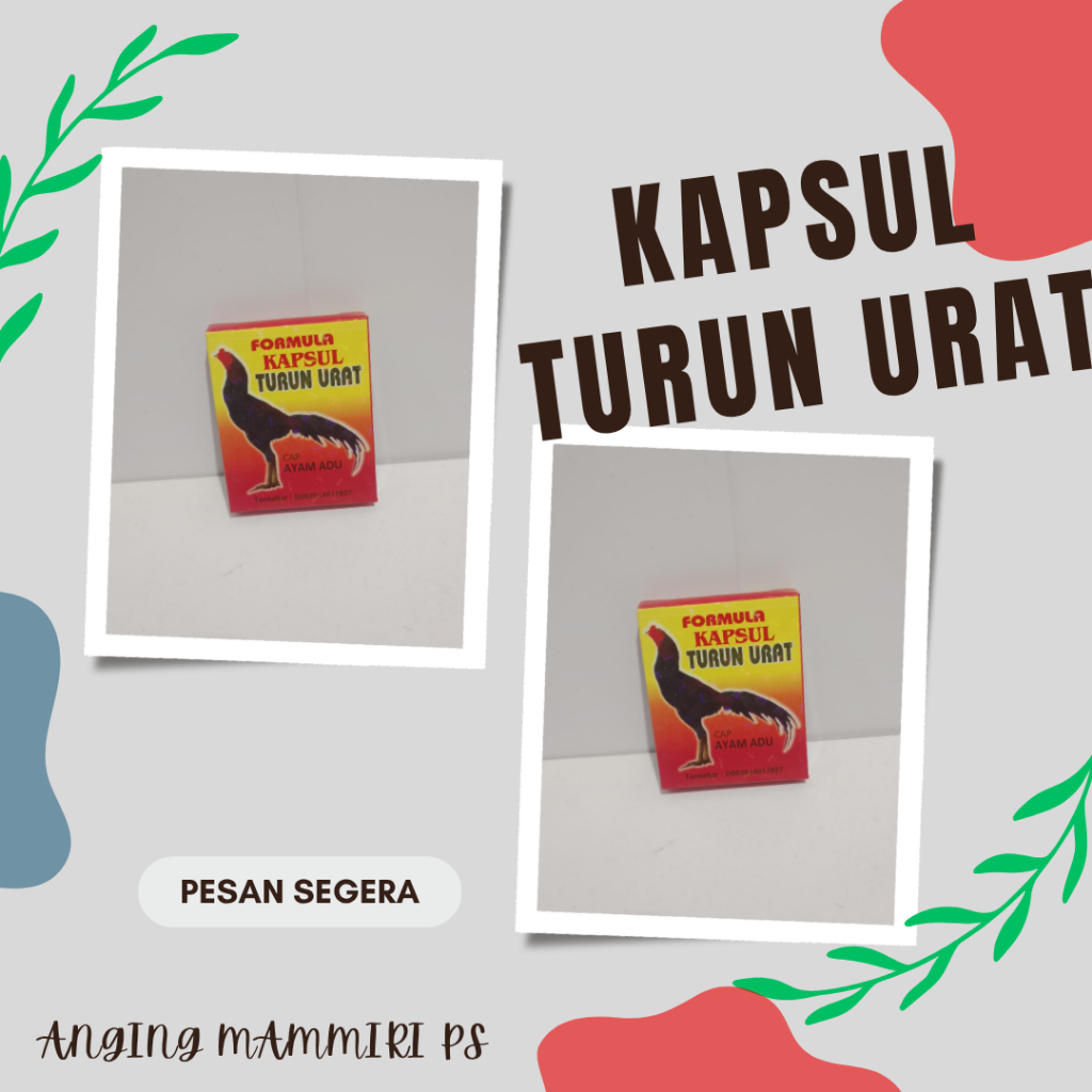 Kapsul turun urat (OBAT TURUN URAT AYAM FORMULA KAPSUL)