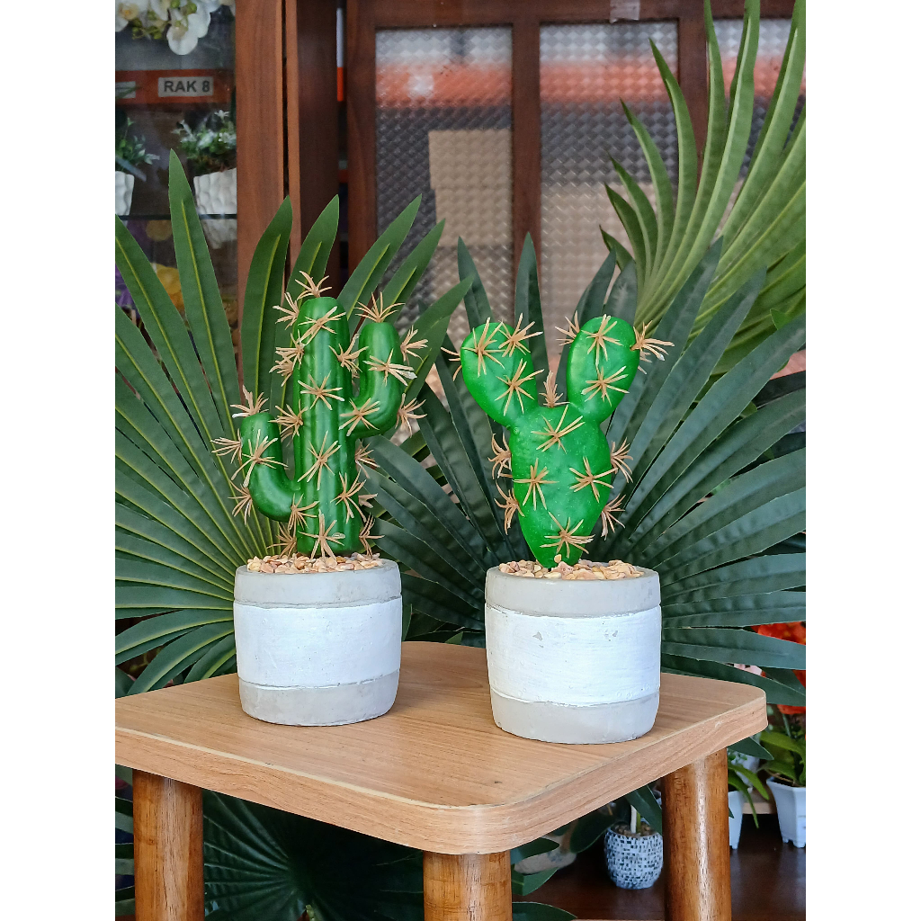 CEILO FLORIST Kaktus Palsu | Kaktus Hias Plastik | Kaktus Plastik | Bunga Hias | Dekorasi Aesthetic 